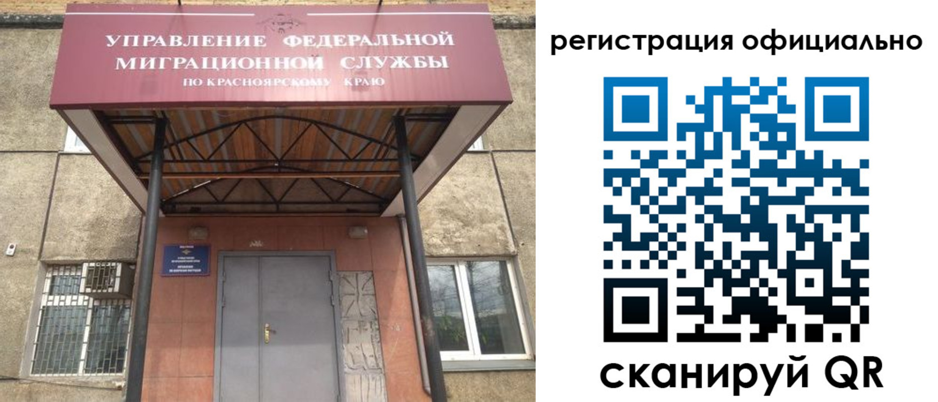 прописка гарантия в Черноголовке